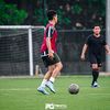 swallow_saja
