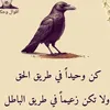 user36712285950633