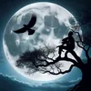 agil_0176