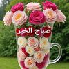 user8492200752201