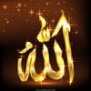 user176755170802