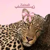 zz_13aa
