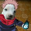hakuatfy9fb