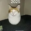 nguynvntin560