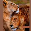 abo.algera