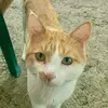 mishmishmish4