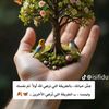 az.a80073883926698