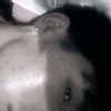 lovee.seb4s.mzx