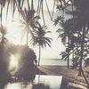 nour_2215