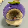 cnguynoanh