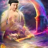 shophangdadung_86