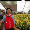 noy_mala