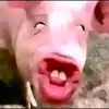 hatkik10