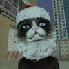 tommy_nodefferent