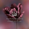 ch.jan.muhammad