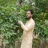 saqibabbasi001