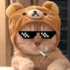 reynazkoo