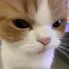 farouh_07