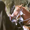 bar_rr2