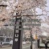 kotik_vibe1