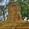 maixuanduong774186