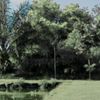 20051611ml