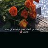 user4819816094466