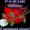user1288632046565