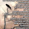 margaret69493