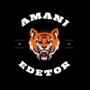 amanj_edetor3