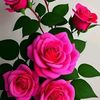 user9022032772392