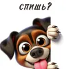 user7699839911858