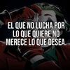 errique.chavez