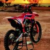 carlos00848