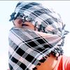 hegazy.nasse1