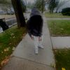 luhdeee._3