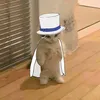 _wibunievd1e_