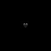 loyd_100