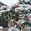 kaungmyat000221