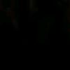 kity_catt661
