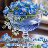 user145818848690