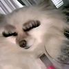 morita_moris