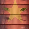 goitolasu8