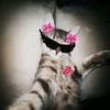 natasha_8768