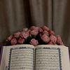 mahooy003