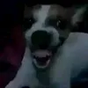 roxcel23
