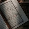 mohammadmania435