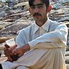 shehzadahmad825