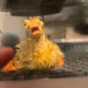 www.tiktok.comp87