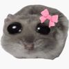 ermthatsalittlebitsilly